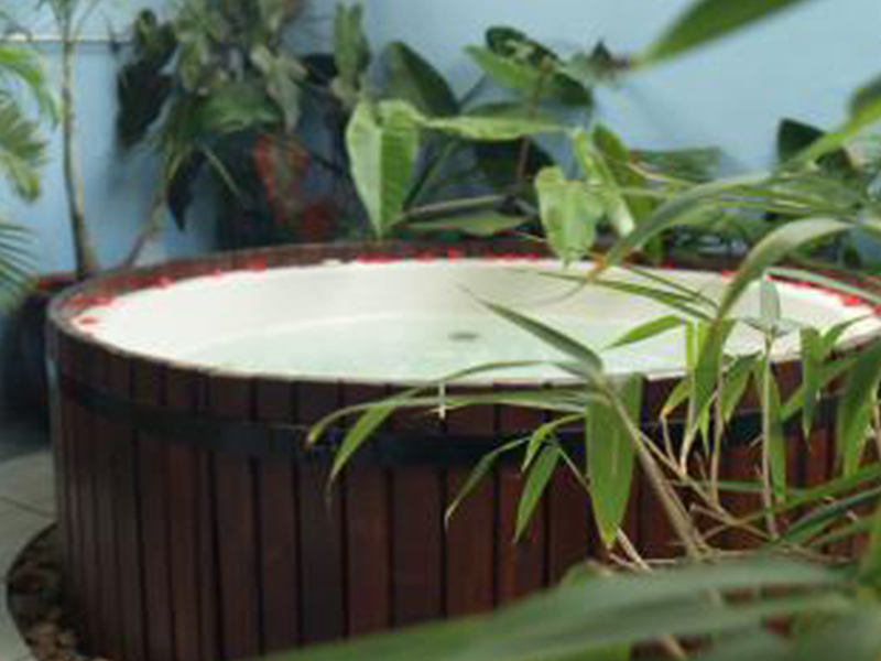 Jacuzzi / Steam / Hydrobath